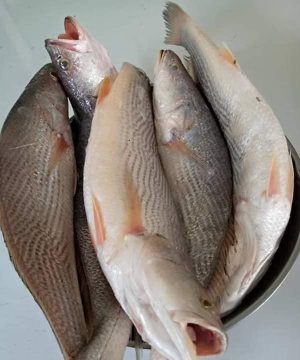 Cassava Fish