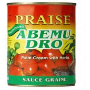 Abemudro Praise