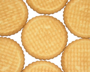 Biscuit