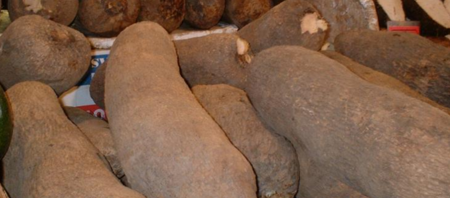 Screenshot 2025-10-13 202910